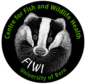 fiwi classified fiwi classified